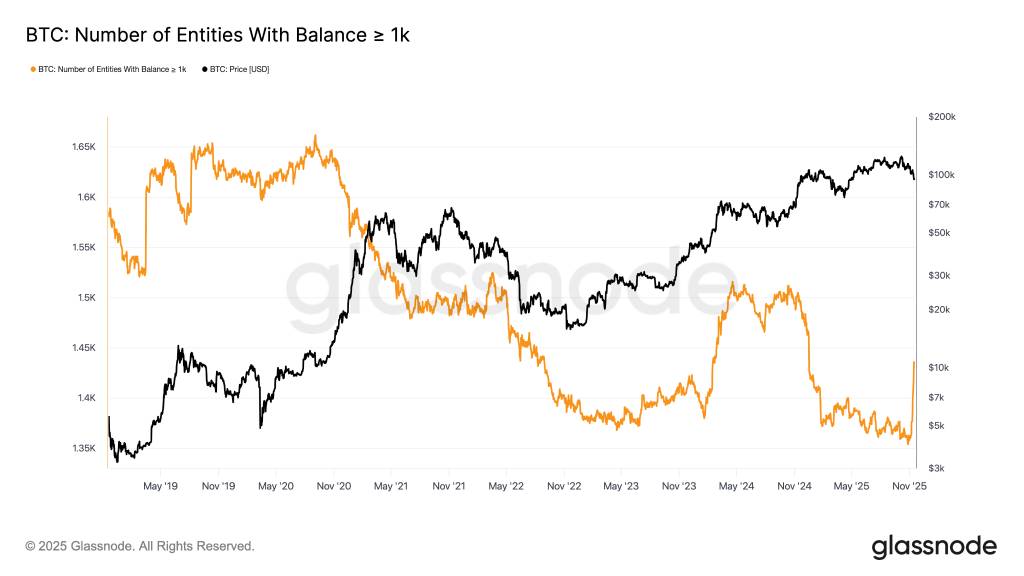نهنگ بیت‌کوین