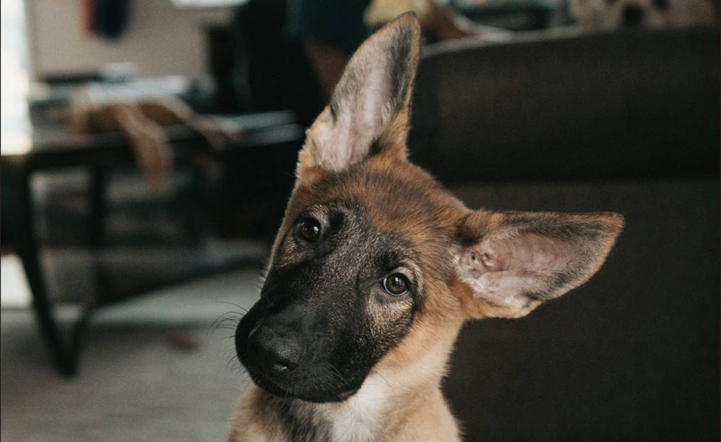 سقوط بیت‌کوین