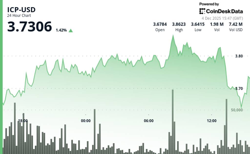 اینترنت کامپیوتر
